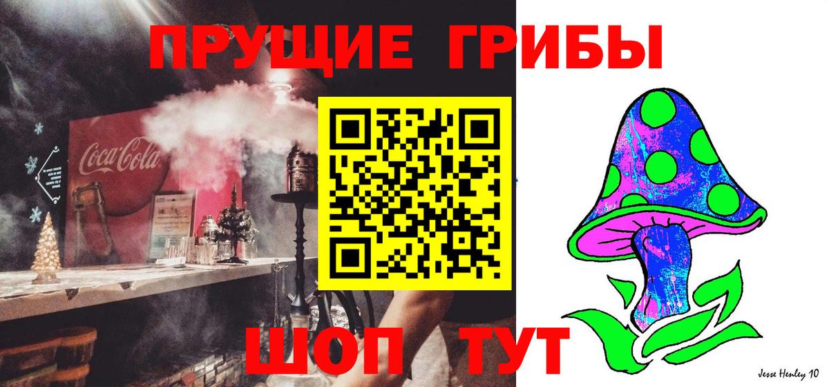 Дедовск  Галлюциногенные грибы мухоморы  Вход с VPN  Псилоцибиновые грибы прущие грибы 
